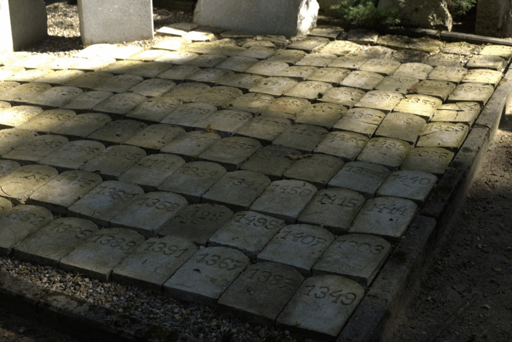 Lekcja historii na spacerze edukacyjnym po terenie Szpitala dla Nerwowo i Psychicznie Chorych w Międzyrzeczu-Obrzycach